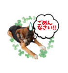 あさひなデザインスタンプ01（個別スタンプ：1）