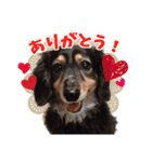 あさひなデザインスタンプ01（個別スタンプ：5）