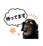 あさひなデザインスタンプ01（個別スタンプ：6）