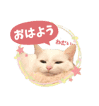 あさひなデザインスタンプ01（個別スタンプ：9）