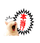 あさひなデザインスタンプ01（個別スタンプ：10）