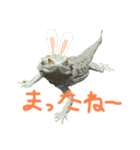 フトアゴヒゲトカゲのスタンプです（個別スタンプ：4）