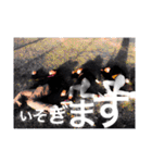 HoneyGOLDスタンプ-1-（個別スタンプ：23）