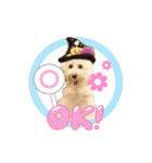 よつばたん（個別スタンプ：1）