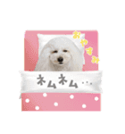 よつばたん（個別スタンプ：3）