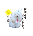 よつばたん（個別スタンプ：4）