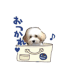 よつばたん（個別スタンプ：7）