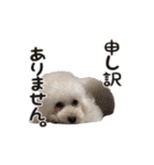 よつばたん（個別スタンプ：8）
