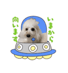 よつばたん（個別スタンプ：9）