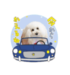 よつばたん（個別スタンプ：10）