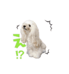 よつばたん（個別スタンプ：11）