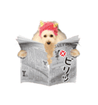 よつばたん（個別スタンプ：14）