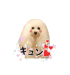 よつばたん（個別スタンプ：17）