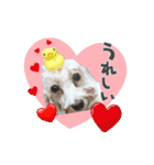 よつばたん（個別スタンプ：18）
