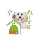 よつばたん（個別スタンプ：20）