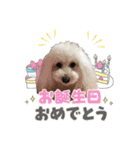 よつばたん（個別スタンプ：21）