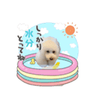 よつばたん（個別スタンプ：22）