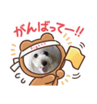 よつばたん（個別スタンプ：23）