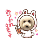 よつばたん（個別スタンプ：24）