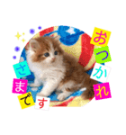 ねこまーち ベイビーズ（個別スタンプ：4）