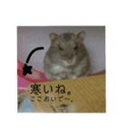 小さな家族達と海たんと千秋くん（個別スタンプ：2）