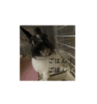 小さな家族達と海たんと千秋くん（個別スタンプ：6）