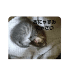 海たんと千秋くん（1）（個別スタンプ：5）