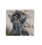 海たんと千秋くん（1）（個別スタンプ：6）