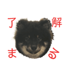 My Lovely Boo日常のことば④（個別スタンプ：2）