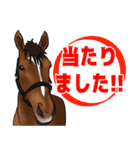 【競馬】スタンプ②（個別スタンプ：13）