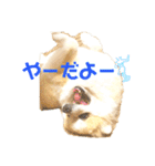 まめ吉たち3（個別スタンプ：30）