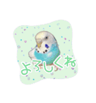 ピピ(Lv.11)のスタンプ。（個別スタンプ：2）