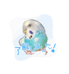 ピピ(Lv.11)のスタンプ。（個別スタンプ：3）
