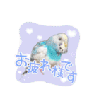 ピピ(Lv.11)のスタンプ。（個別スタンプ：5）
