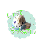 ピピ(Lv.11)のスタンプ。（個別スタンプ：8）