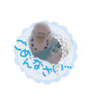ピピ(Lv.11)のスタンプ。（個別スタンプ：9）