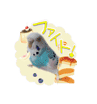 ピピ(Lv.11)のスタンプ。（個別スタンプ：10）
