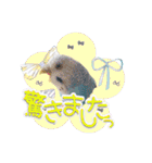 ピピ(Lv.11)のスタンプ。（個別スタンプ：16）
