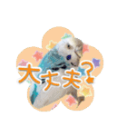 ピピ(Lv.11)のスタンプ。（個別スタンプ：18）