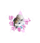 ピピ(Lv.11)のスタンプ。（個別スタンプ：19）