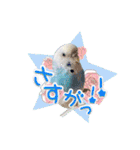 ピピ(Lv.11)のスタンプ。（個別スタンプ：21）