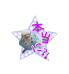 ピピ(Lv.11)のスタンプ。（個別スタンプ：23）