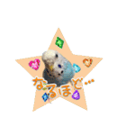 ピピ(Lv.11)のスタンプ。（個別スタンプ：24）