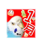 ピピ(Lv.11)のスタンプ。（個別スタンプ：25）