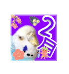 ピピ(Lv.11)のスタンプ。（個別スタンプ：26）