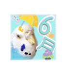 ピピ(Lv.11)のスタンプ。（個別スタンプ：30）