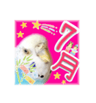 ピピ(Lv.11)のスタンプ。（個別スタンプ：31）