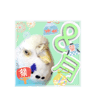 ピピ(Lv.11)のスタンプ。（個別スタンプ：32）
