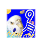 ピピ(Lv.11)のスタンプ。（個別スタンプ：33）