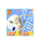 ピピ(Lv.11)のスタンプ。（個別スタンプ：35）
